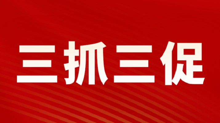 三抓三促进行时丨爱游戏在线(中国)集团召开重点项目调度会