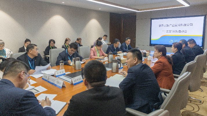 爱游戏在线(中国)集团启动“十五五”规划编制